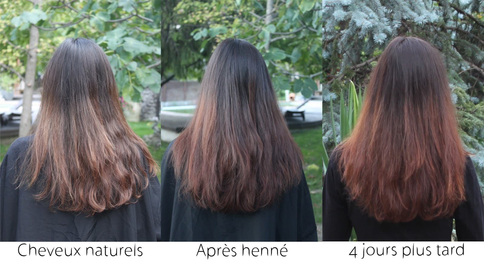 Colorer ses cheveux naturellement avec du Henné